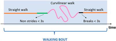 A multi-sensor wearable system for the assessment of diseased gait in real-world conditions